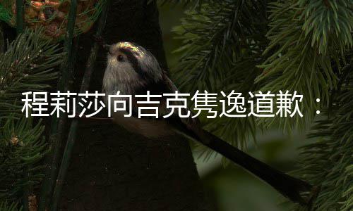 表达不准了我误会程莉道歉大家吉克隽逸莎向确让